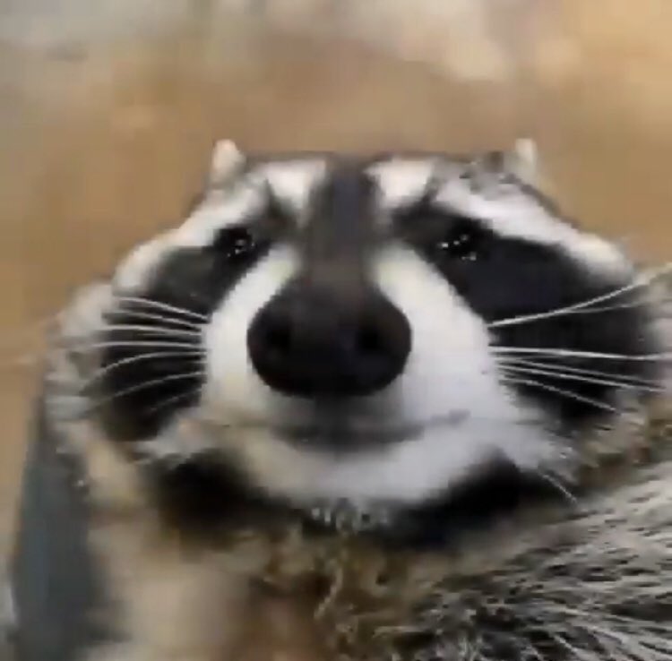 Hnnnn:;.ggsk Dont Drink the Water ghdhsjnnnn February 7th and 8th fjdjiannsn 7:00 djdjskknnbb Tickets are $5 fjdjjsjjdj please come see it