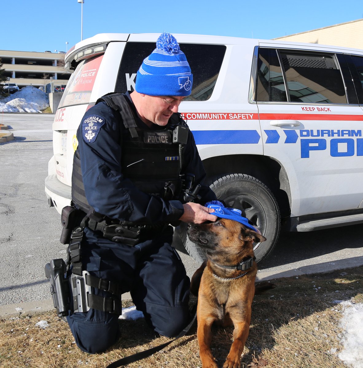 DRPS's tweet photo. It took some convincing but @DRPS_K9 Six finally agreed to follow the lead of handler D/Cst. Armstrong and put on his toque  in support of #BellLetsTalk Day. K-9 officers regularly support the front line in their response to mental health calls. If in crisis always call 911. https://t.co/033oib70aq