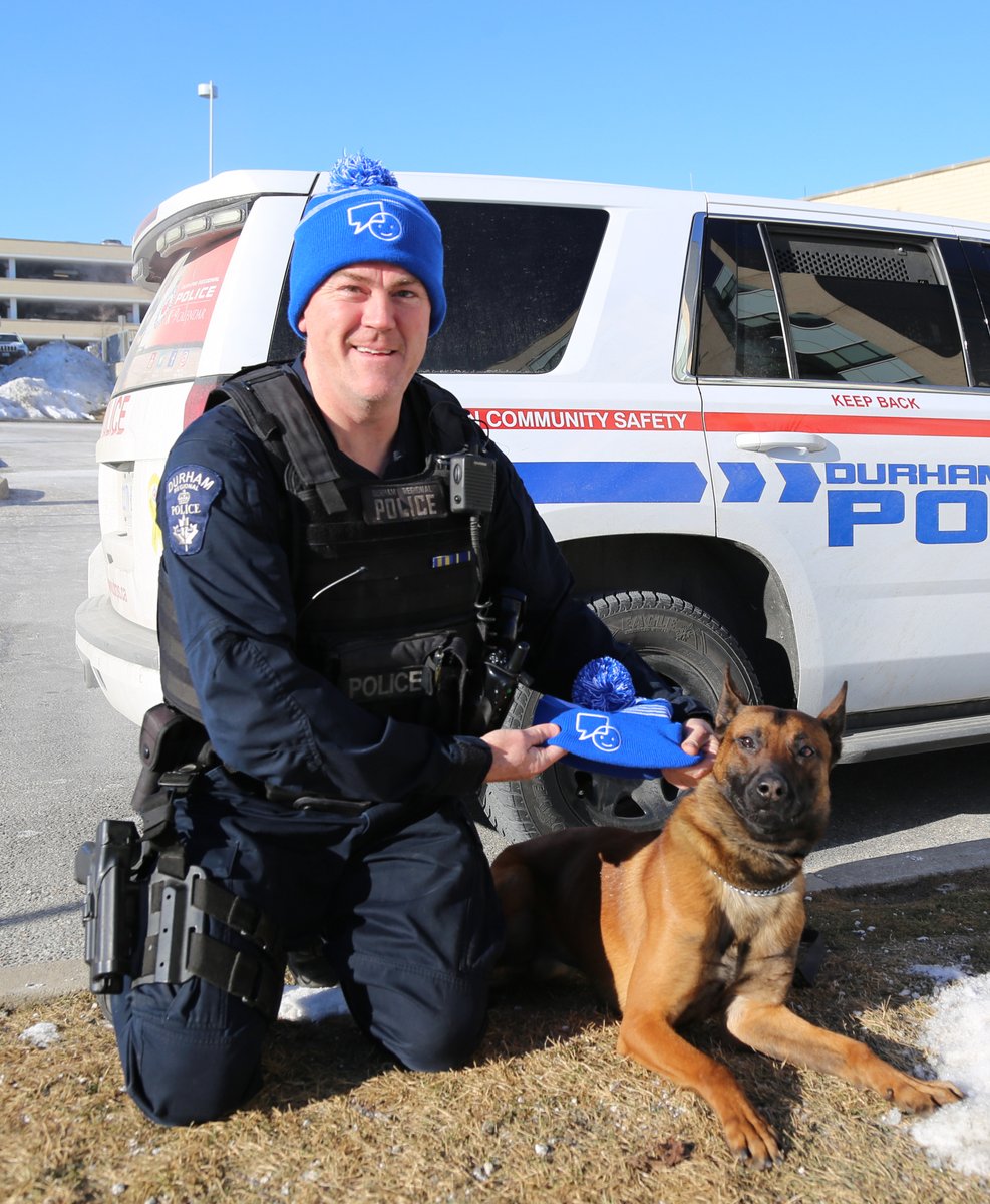 DRPS's tweet photo. It took some convincing but @DRPS_K9 Six finally agreed to follow the lead of handler D/Cst. Armstrong and put on his toque  in support of #BellLetsTalk Day. K-9 officers regularly support the front line in their response to mental health calls. If in crisis always call 911. https://t.co/033oib70aq
