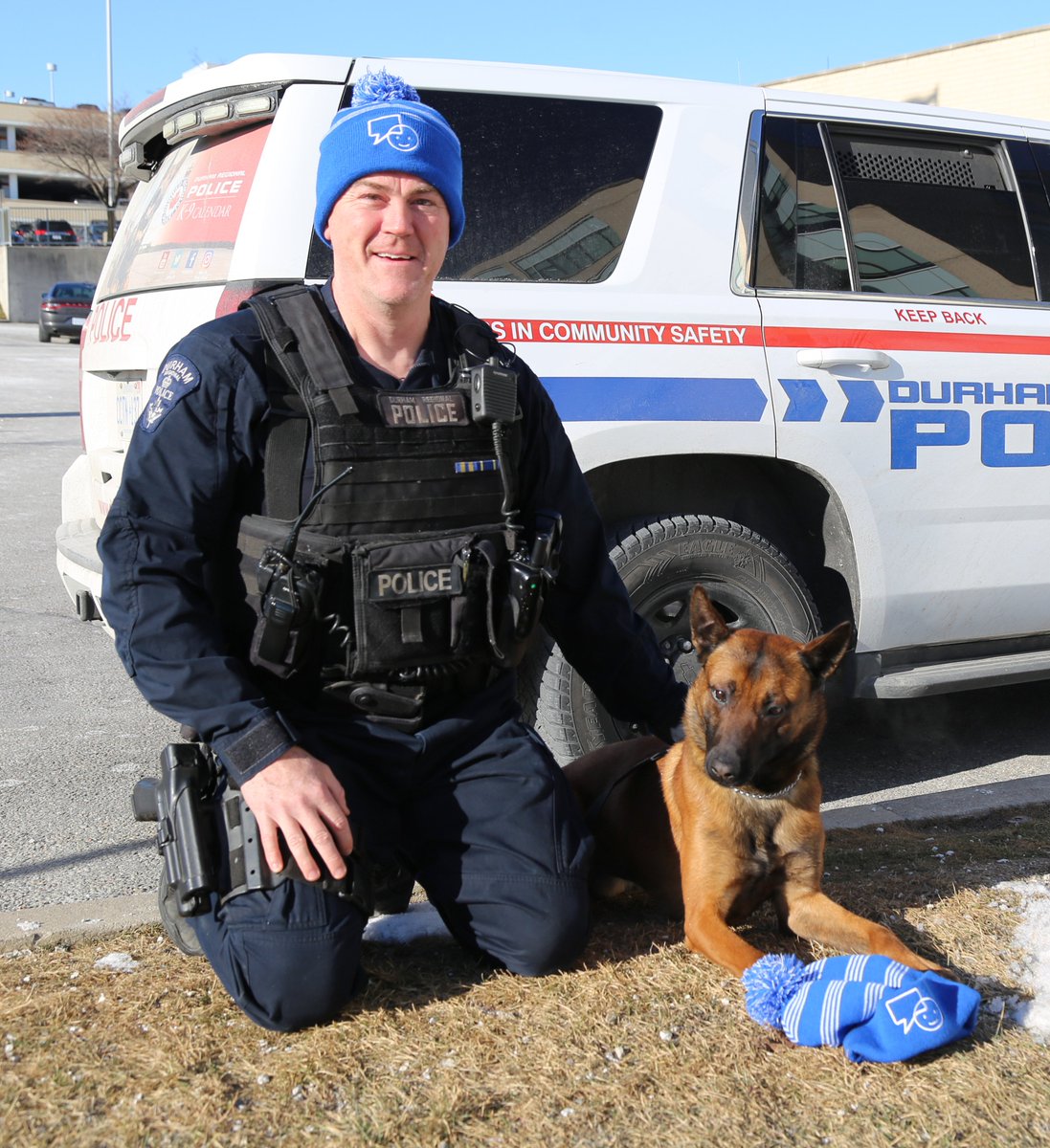 DRPS's tweet photo. It took some convincing but @DRPS_K9 Six finally agreed to follow the lead of handler D/Cst. Armstrong and put on his toque  in support of #BellLetsTalk Day. K-9 officers regularly support the front line in their response to mental health calls. If in crisis always call 911. https://t.co/033oib70aq
