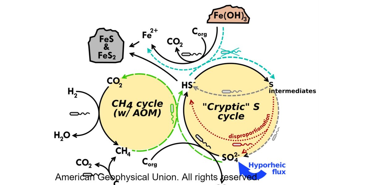 Journal of Geophysical Research: Biogeosciences tweet media