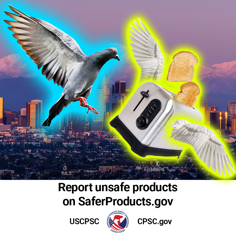 A pigeon and toaster flying over Los Angeles. The text reads: Report unsafe products on SaferProducts.gov