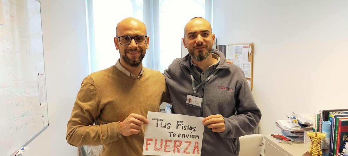 Alfonso Gil tweet media