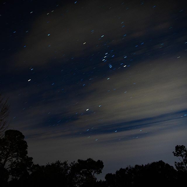 aaronholck's tweet photo. Experiment. #startrails #pensacola #orionsbelt https://t.co/XP1pcwX1e2 https://t.co/xTfJKodx9z