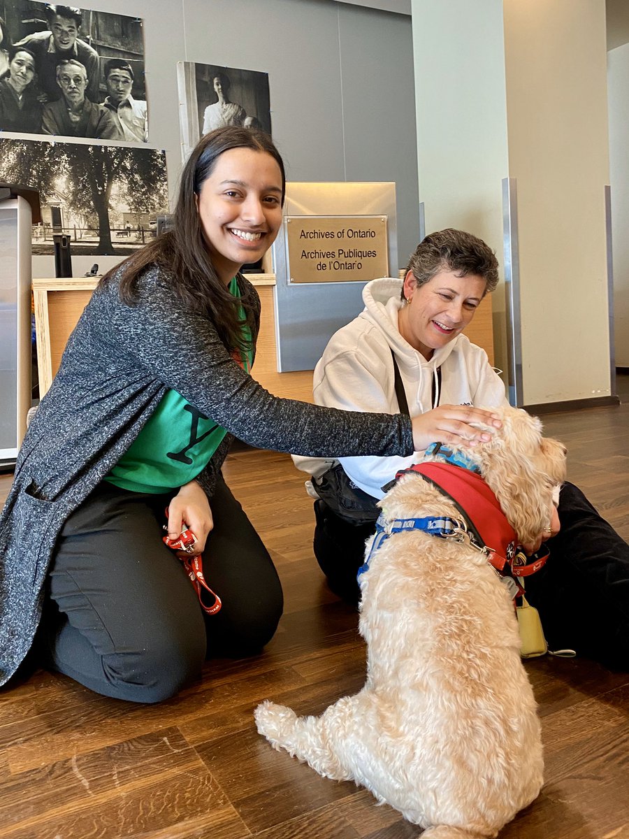 YorkULAPS's tweet photo. 🚨Therapy dog alert🚨

Hey, #YorkU! Drop by @ArchivesOntario today until 2:30pm to get a few cuddles from 3️⃣ super-adorable pups 🐶 

#BellLetsTalk #YULetsTalk https://t.co/vYN1XjdVMS