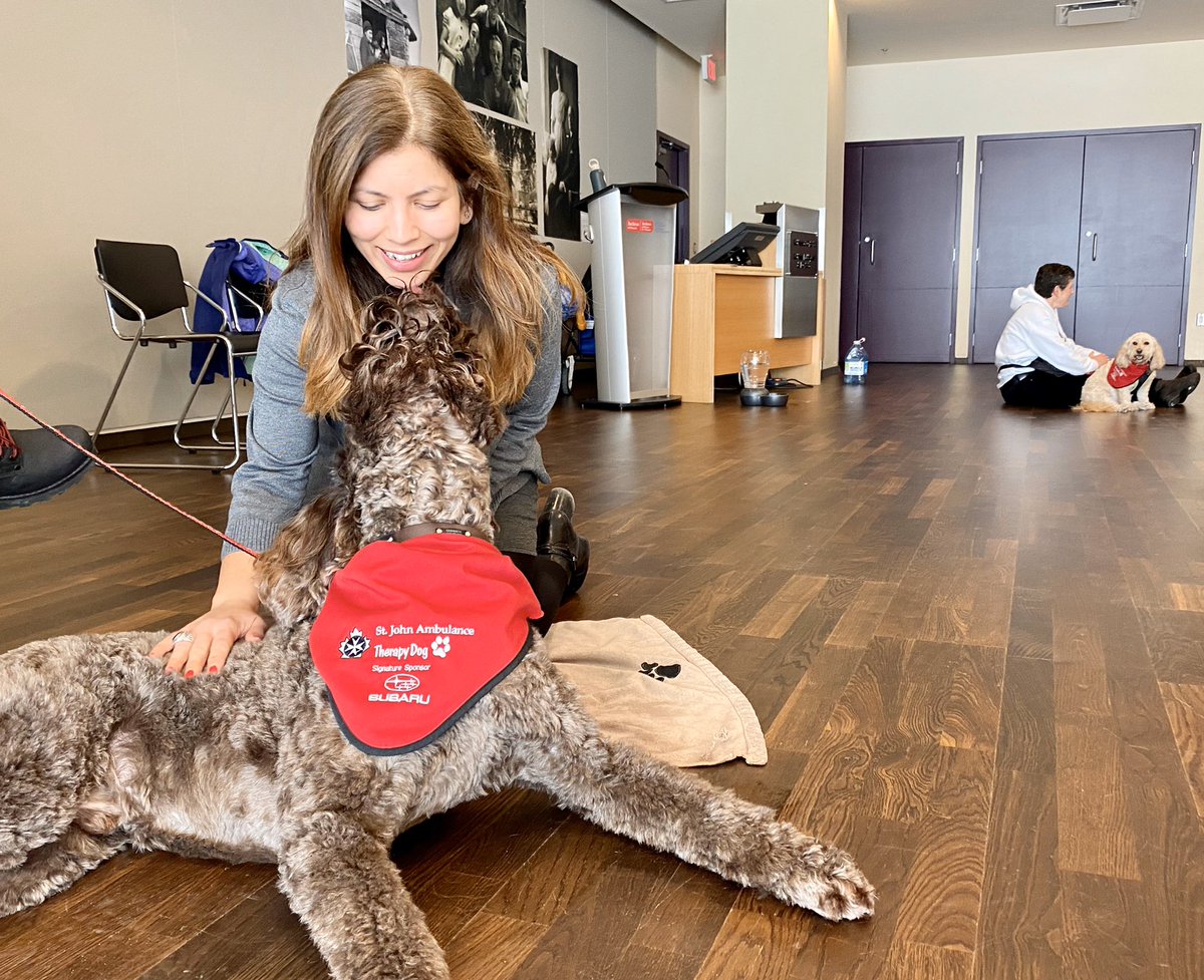 YorkULAPS's tweet photo. 🚨Therapy dog alert🚨

Hey, #YorkU! Drop by @ArchivesOntario today until 2:30pm to get a few cuddles from 3️⃣ super-adorable pups 🐶 

#BellLetsTalk #YULetsTalk https://t.co/vYN1XjdVMS