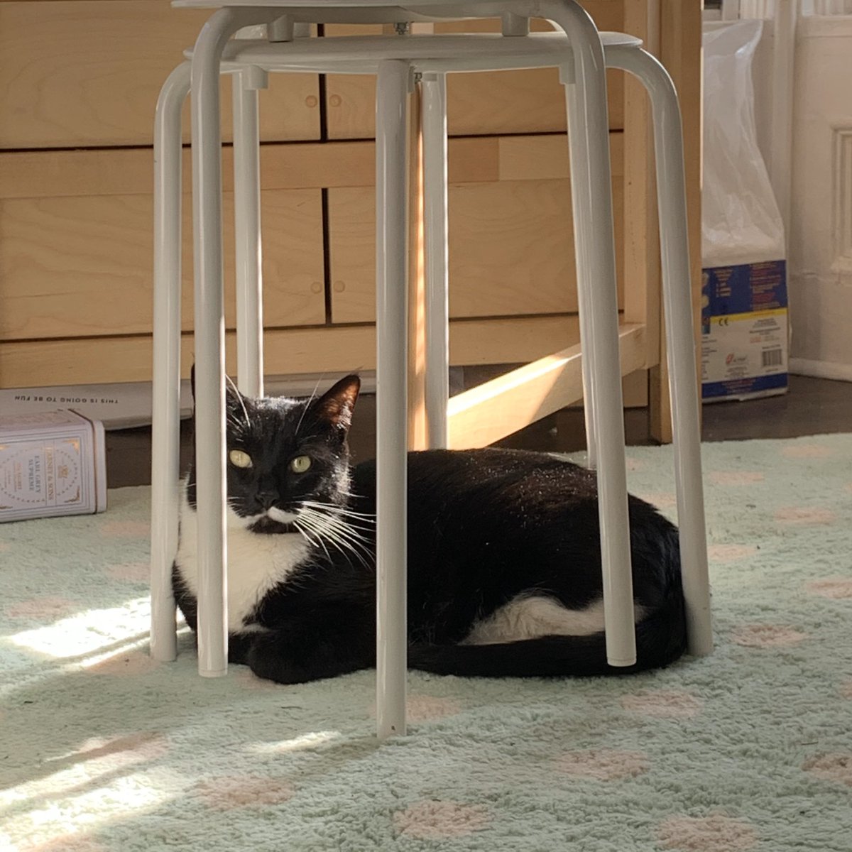 me at every social setting to date