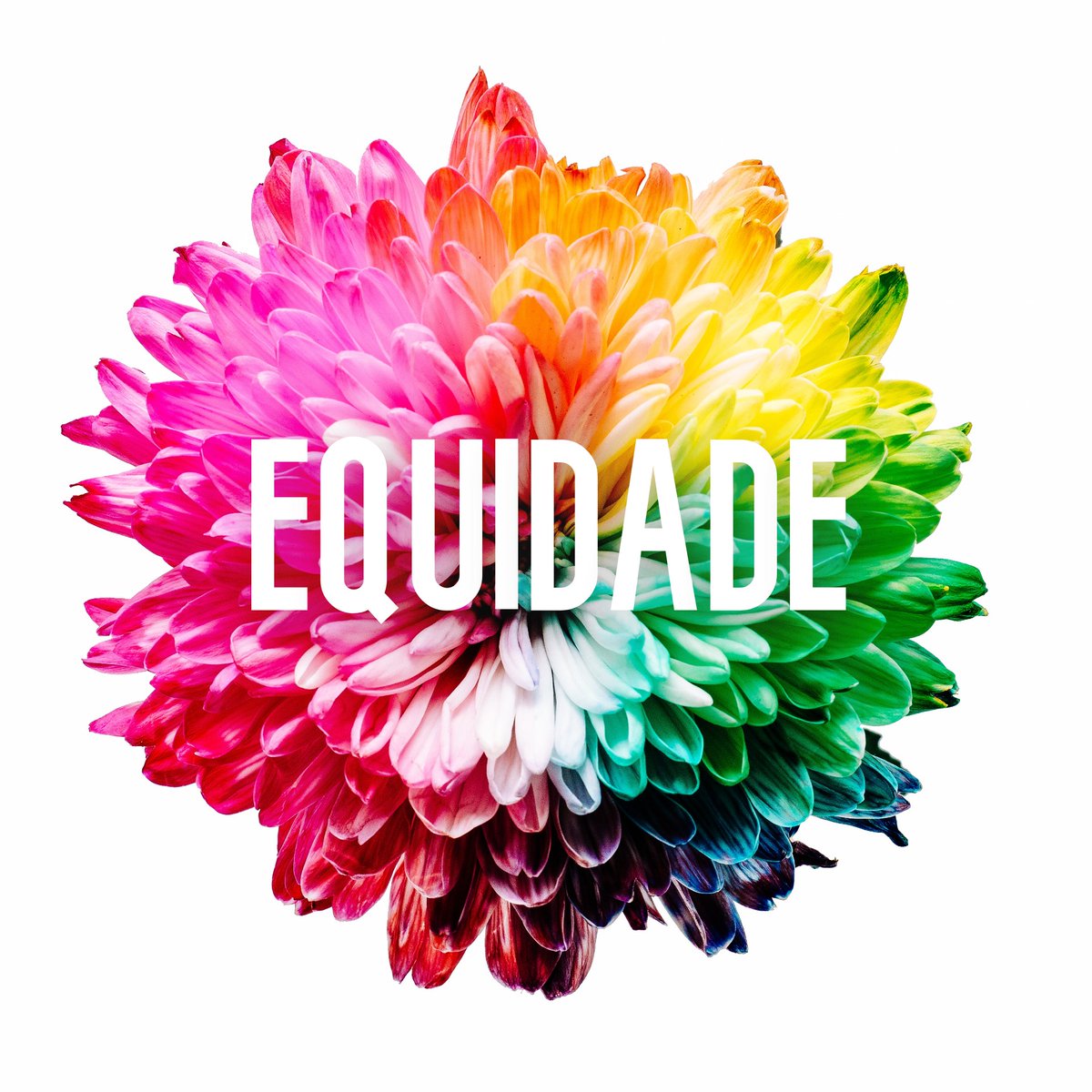 EquipeAvida's tweet image. Equidade é a virtude e atitude de quem se manifesta com senso de justiça, imparcialidade e respeito à igualdade de direito. É a capacidade de compreender com retidão.
É bonito, justo e importante demais!
É diferente de igualdade, que se refere a situações idênticas, equivalentes.