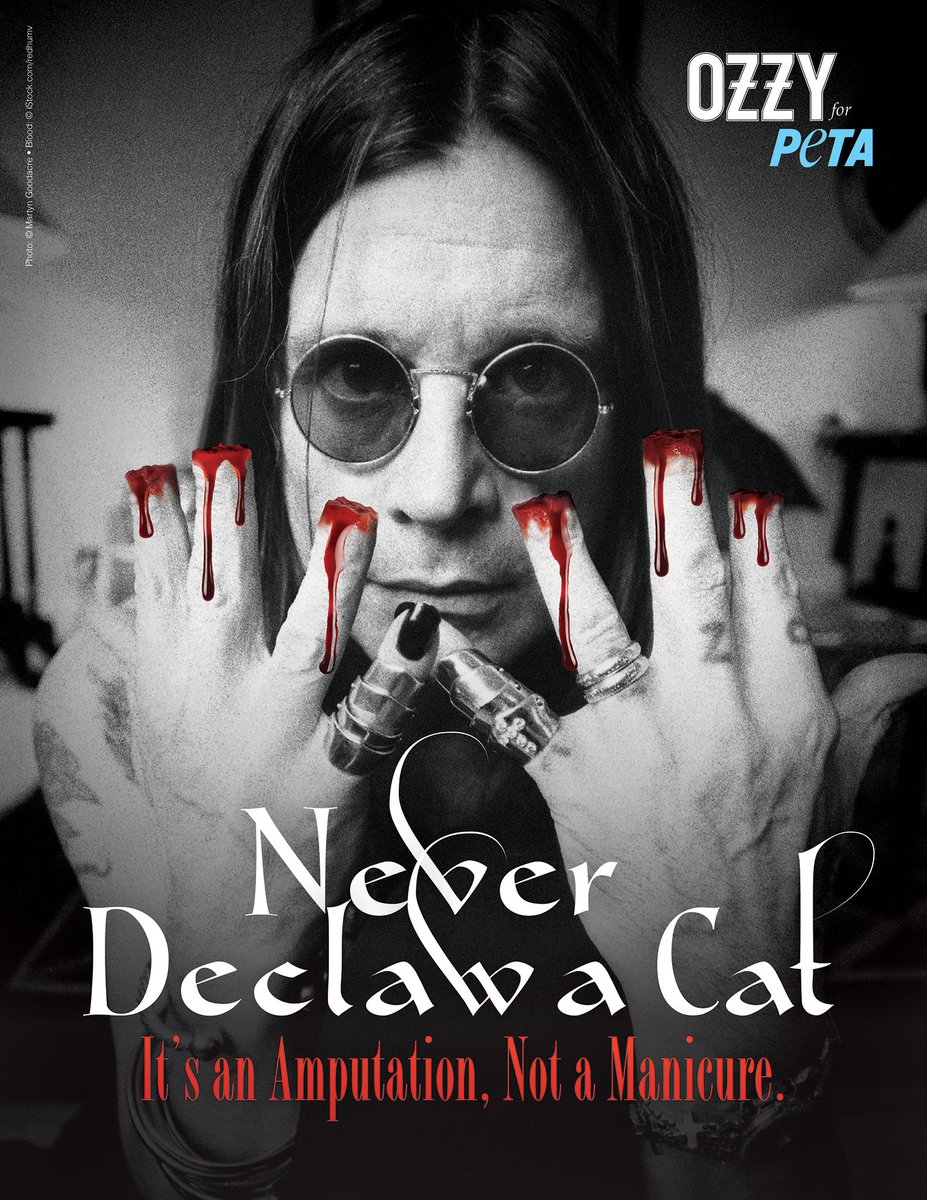 peta's tweet photo. He’s a legendary musician who’s using his powers of rock to speak up for animals!
@OzzyOsbourne is joining forces with PETA to show the world how DECLAWING YOUR CAT IS CRUEL.
Declawing is AMPUTATION, and their body parts aren't ours to take from them! https://t.co/mOtsMXckcR https://t.co/L0CMH2GYcM