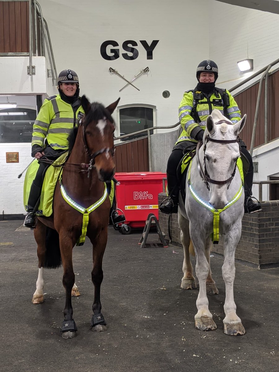 TVP_horses's tweet photo. Aurora has sent us some lovely photos from her working holiday in London😍 She is certainly seeing some amazing sites on her travels 🤩 Thanks to @MetTaskforce for helping Aurora with the photos! P5927 https://t.co/woKSeoXV7E