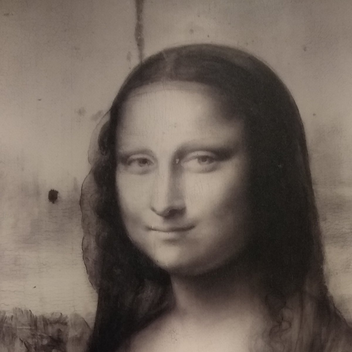NetaPublicite's tweet photo. L'intemporelle… À l'occasion de l'exposition "Léonard de Vinci" au 
@MuseeLouvre
@BeauxArts_mag a concocté un Hors-série sublime pour plonger dans l'œuvre du maître.
#expoLéonard #leonardodavinci #MonaLisa https://t.co/nDo2YtKfnS