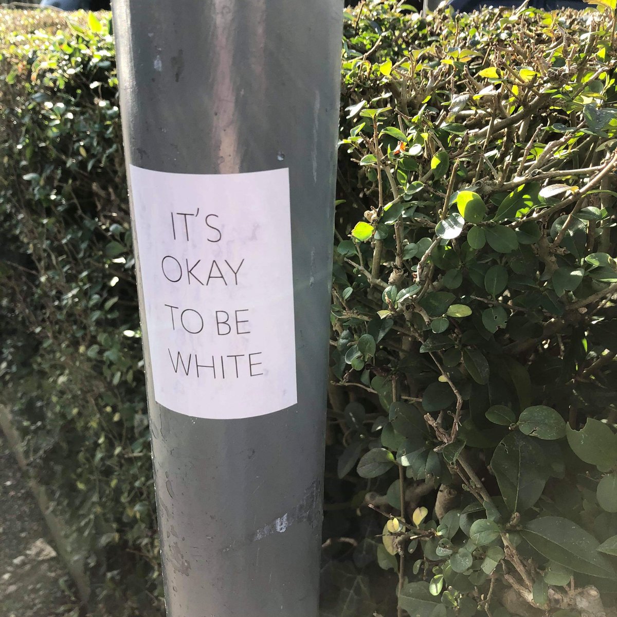 1/6 The BME Network is horrified to see that posters have been put up all over campus that say "it's okay to be white".This phrase seems innocent on the surface, but in reality, it is a popular dogwhistle among white supremacists.