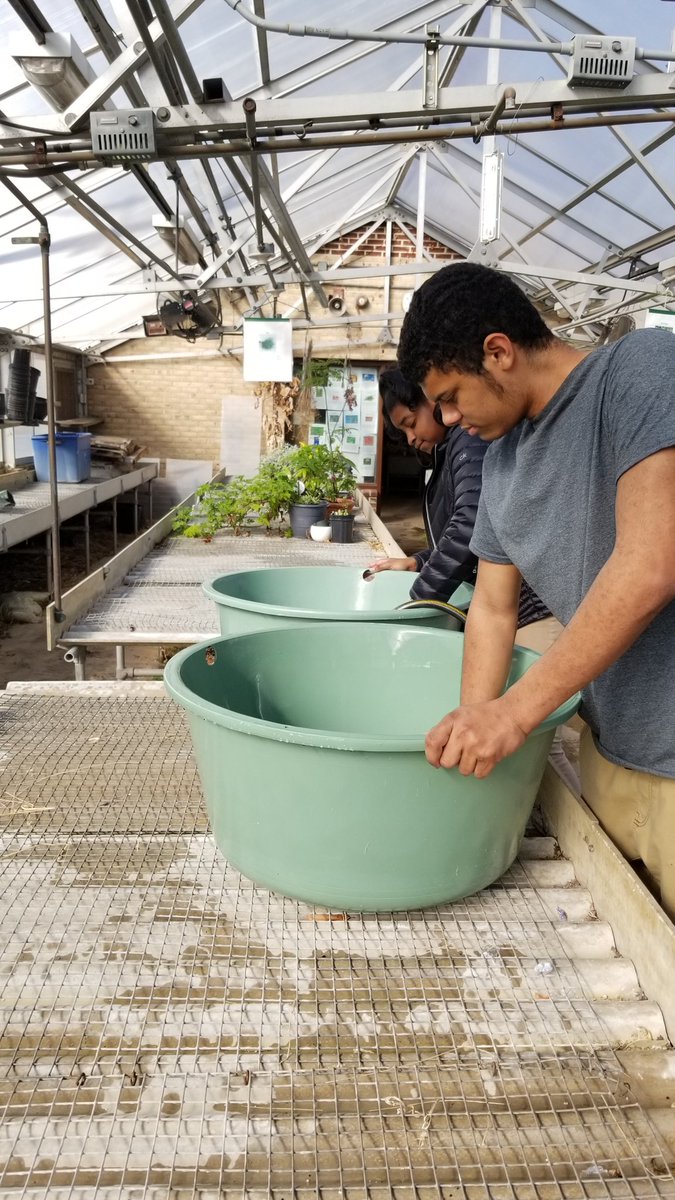 gwynnparkffa tweet media