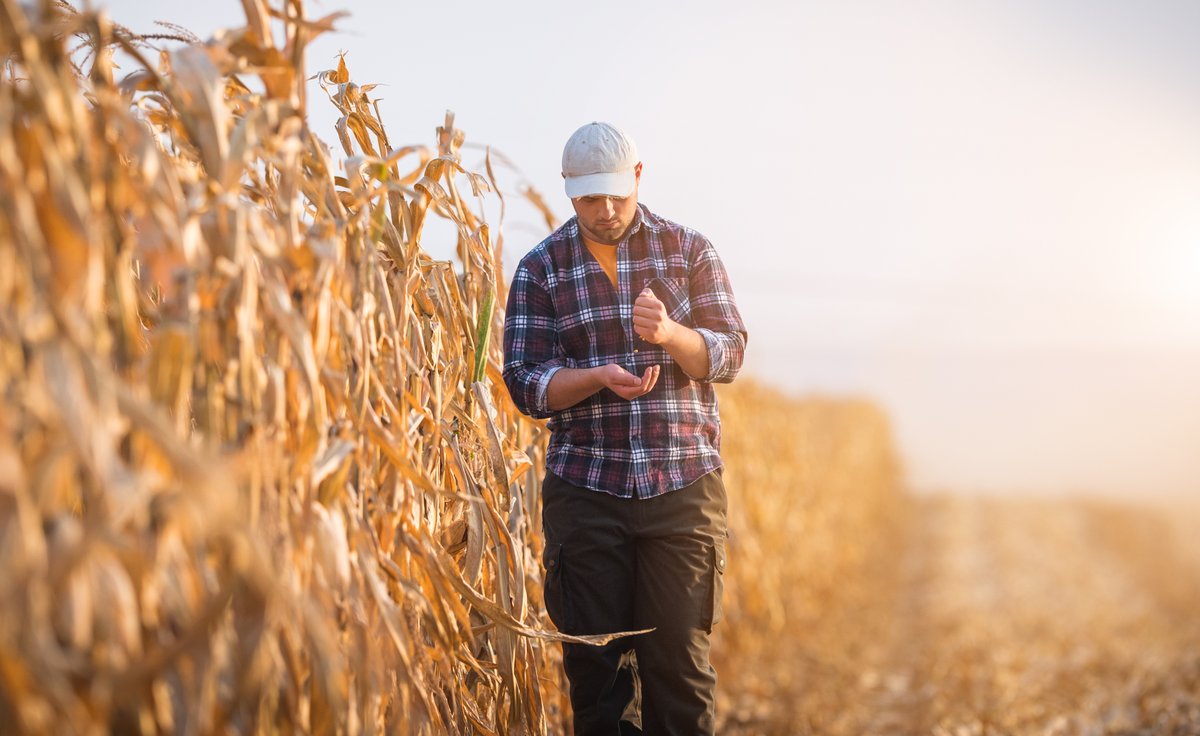 Anyone can face mental health struggles, even farmers. Today, Bothwell Cheese applauds <a href="/domoreag/">DoMoreAg</a>, an organization that encourages producers to take care of their mental well being. Their efforts in redefining the language around mental illness in farming. #BellLetsTalk