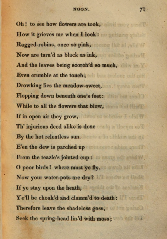 JohnClareSoc's tweet photo. For anyone feeling the cold weather, today's #PoemsDescriptive2020 will take you to the searing heat of the noon-day sun in Clare's poem 'Noon'. There's a great dialect word in here too: 'drowking', or drooping from drought... https://t.co/eDdF0pAkuR