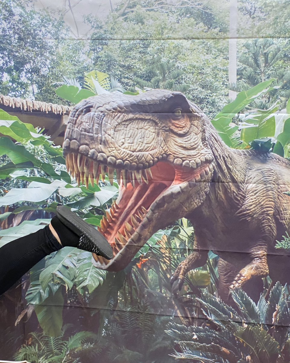 tfulsangreaduhs's tweet photo. OMG it’s a T-Rex! Love students having fun in the media center for literacy week! #UHSLiteracy #VCSCLW2020 #FLCelebratesLiteracy @BernerLinda @mmfraine @UHSTitans411 https://t.co/NkMEanAwni