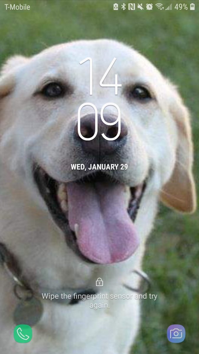 GeeFrenchie's tweet photo. Found pic of my childhood doggo, Dora, and set her as my wallpaper.
Now all I have to do put a smile on my face is looking at my phone.
#RipDora, you may have been in physical pain your whole life but you always had a smile
MISS YOU😭😭😭😭 https://t.co/u1ZQiKfB8O