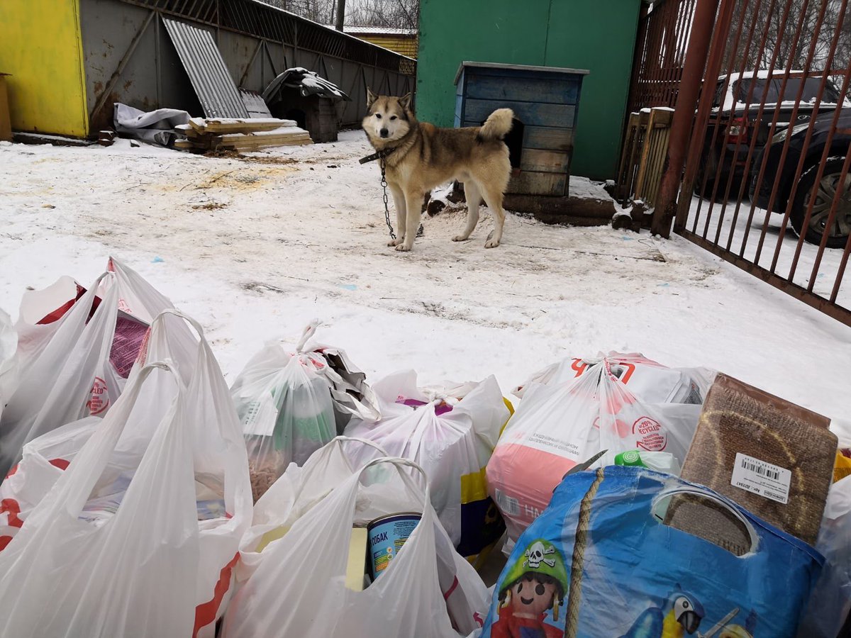 licej_6_ivanovo's tweet photo. Первая партия помощи отправилась в приют Майский День. Волонтёры и учителя разобрали все то, что принесли обучающиеся и погрузили в транспорт. Для нас это просто корма и покрывала, а для четвероногих друзей это ещё один день жизни и спасение от холодов. https://t.co/bLouLmFBms