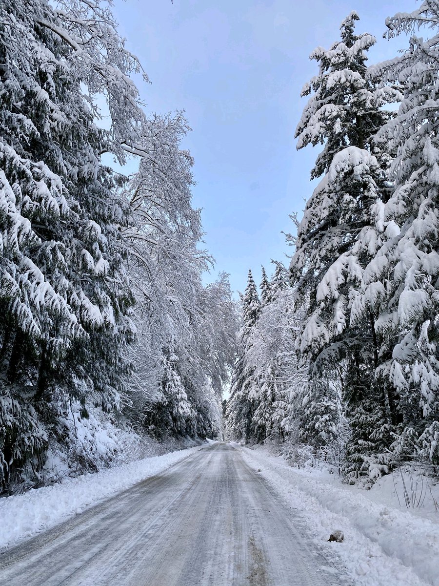 spring_energy's tweet photo. Winter won't last forever. We Promise. Keep training, keep working, keep digging! Build that big winter base! When it warms ups, the trails dry out and the flowers bloom, you will be stronger, tougher and faster. #SpringTribe #SpringEnergy #Running #Endurance #natureup https://t.co/XMzRYxWqZm