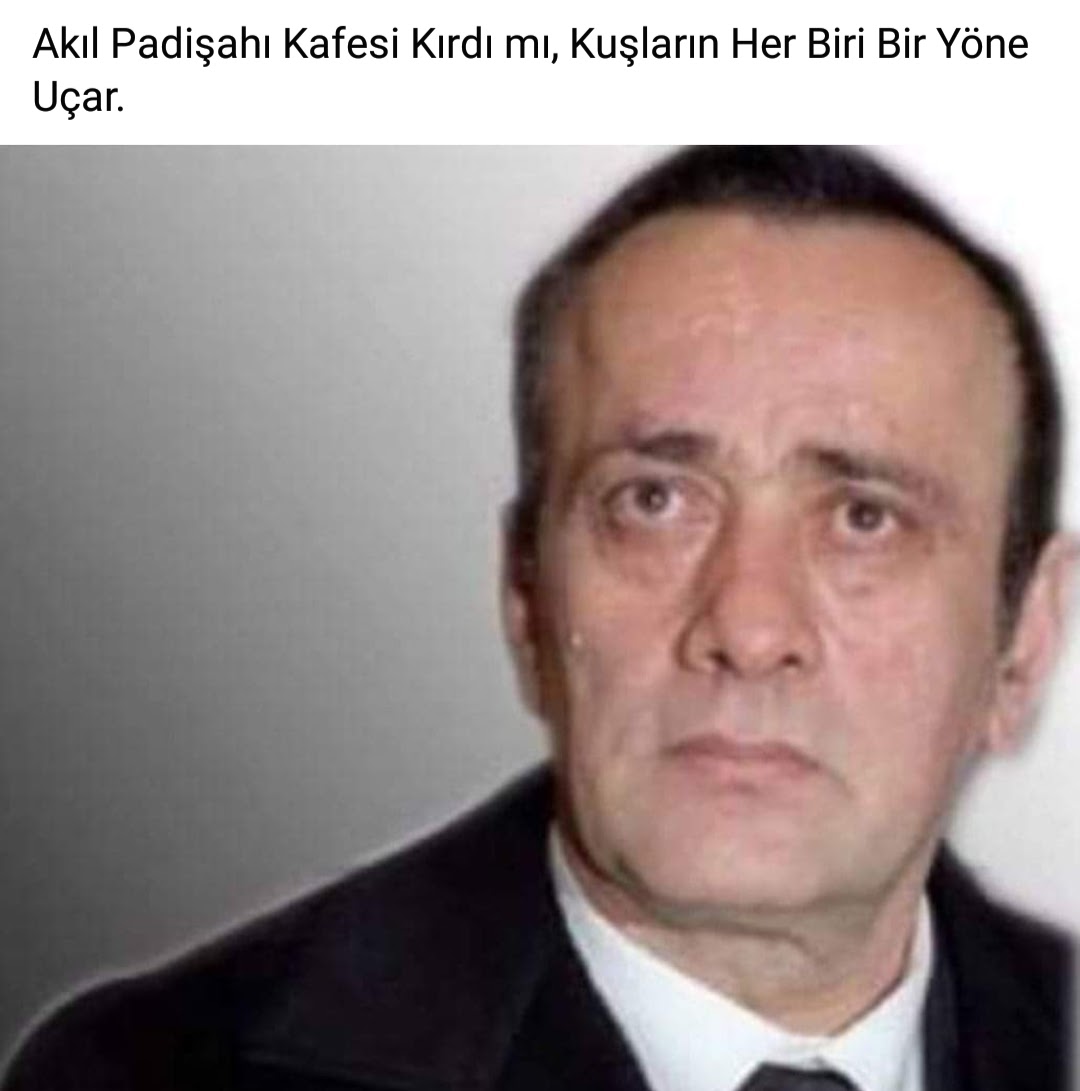 alattincakici's tweet photo. Kuvvetleri Eşit Olan Köpekler, Birbirlerine Dişlerini Gösterirler. Ortada Paylaşılacak Bir Şey Olduğu Zaman da Birbirlerine Saldırırlar. https://t.co/JUChMvVC2j