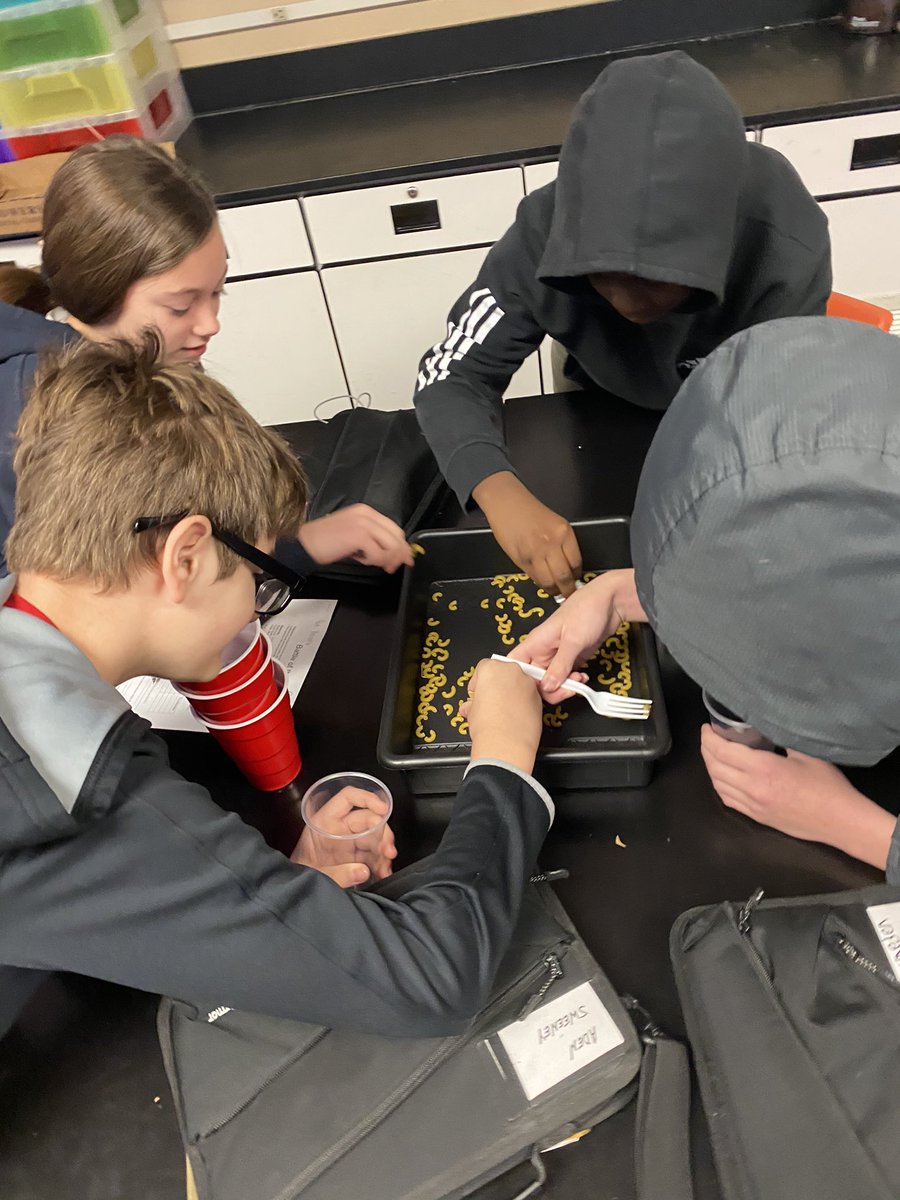 MissKeithatFMS's tweet photo. Survival of the Fittest!!🐧🐦🐔🐤#fmsteach https://t.co/A8sS855uq8