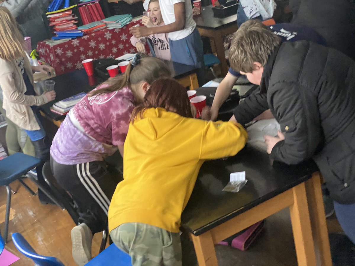 MissKeithatFMS's tweet photo. Survival of the Fittest!!🐧🐦🐔🐤#fmsteach https://t.co/A8sS855uq8