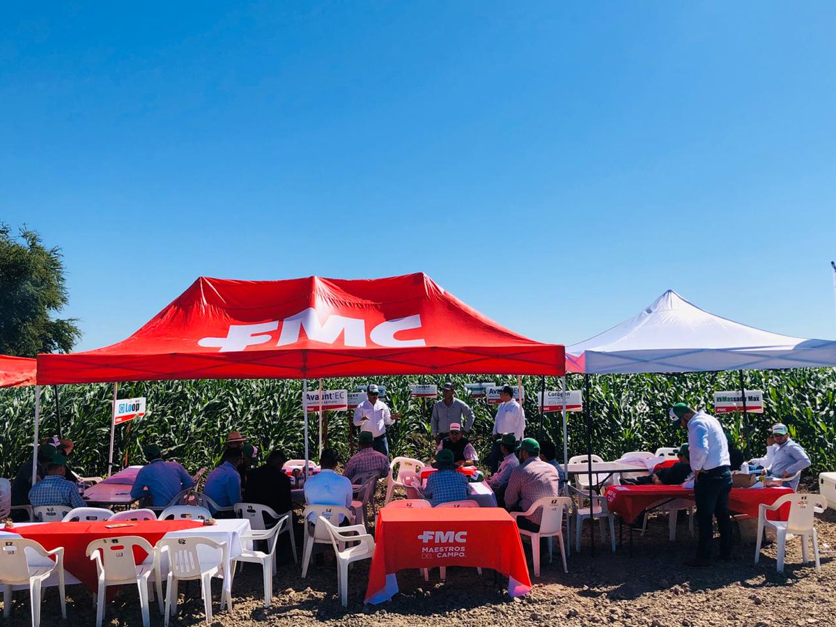 agroquimicaFMC's tweet photo. El día de ayer nos reunimos con productores🤠 de Los Mochis y su alrededores, para un día de campo🌱 con enfoque en nuestras soluciones #Coragen #Avaunt #StymulusMax y #Zoll 😁👍 https://t.co/vvdcXigJ3v