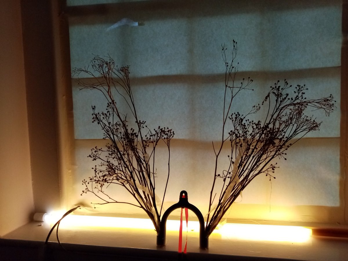 kerri_ni's tweet photo. https://t.co/NceB92GpOB

On circles and lines,
On self and other,
On looking and listening
On voice and silence, 
On light and dark.

Collaboration with artists Simon Mills &amp; Tara Murphy @CaakEproject. Words were recorded in the fields between my home&amp; the central bog of Ireland. https://t.co/2QWQibaaF1
