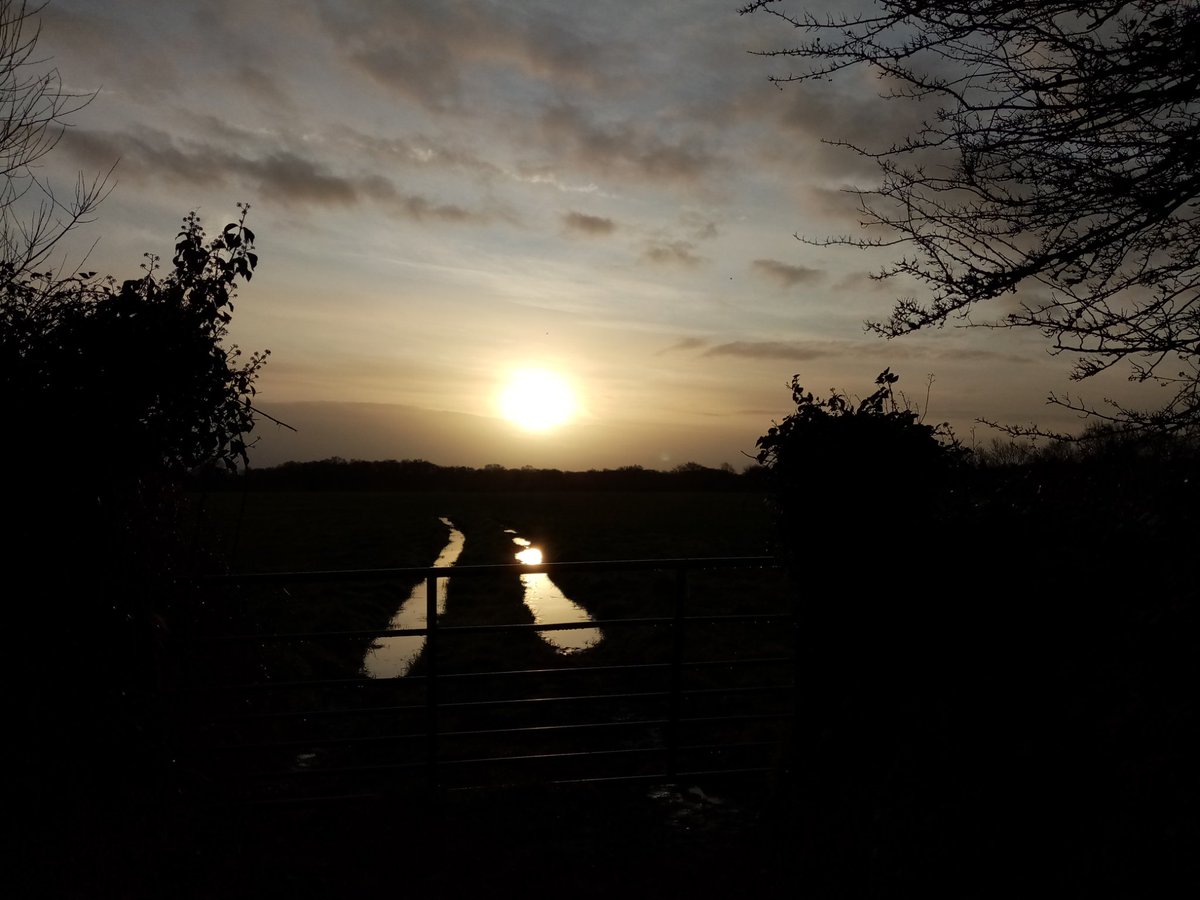 kerri_ni's tweet photo. https://t.co/NceB92GpOB

On circles and lines,
On self and other,
On looking and listening
On voice and silence, 
On light and dark.

Collaboration with artists Simon Mills &amp; Tara Murphy @CaakEproject. Words were recorded in the fields between my home&amp; the central bog of Ireland. https://t.co/2QWQibaaF1
