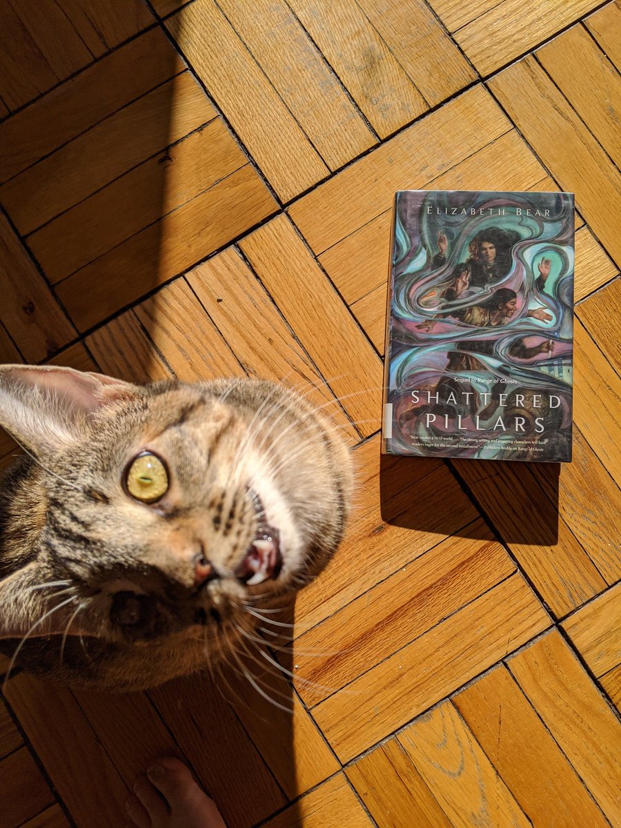 svetyas4's tweet photo. Photo taking of my new book was immediately interrupted by a shouty girl #ReadingChallenge #LibraryFind https://t.co/F0dhHZlTp4