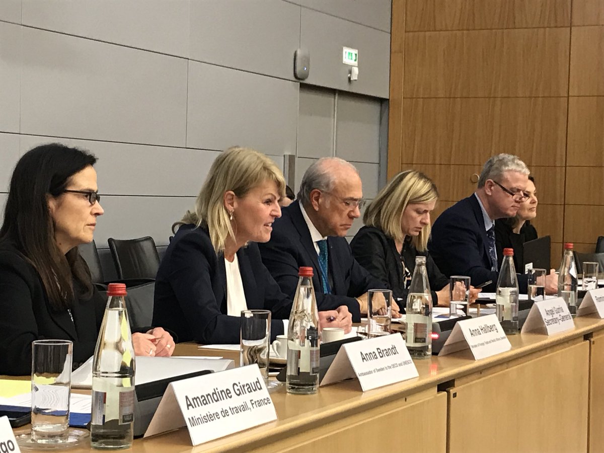 AmbAnnaBrandt's tweet photo. 🇸🇪 Trade Minister Anna Hallberg chaired the 2nd Steering Com. of the #GlobalDeal today. Looking forward to next week’s high level conference @OECD. Thank you to @A_Gurria &amp; @GuyRyder #ILO for constructive engagement. #SDGs #Agenda2030 #skills #lifelonglearning #socialdialogue https://t.co/3Hw9qaIKWN