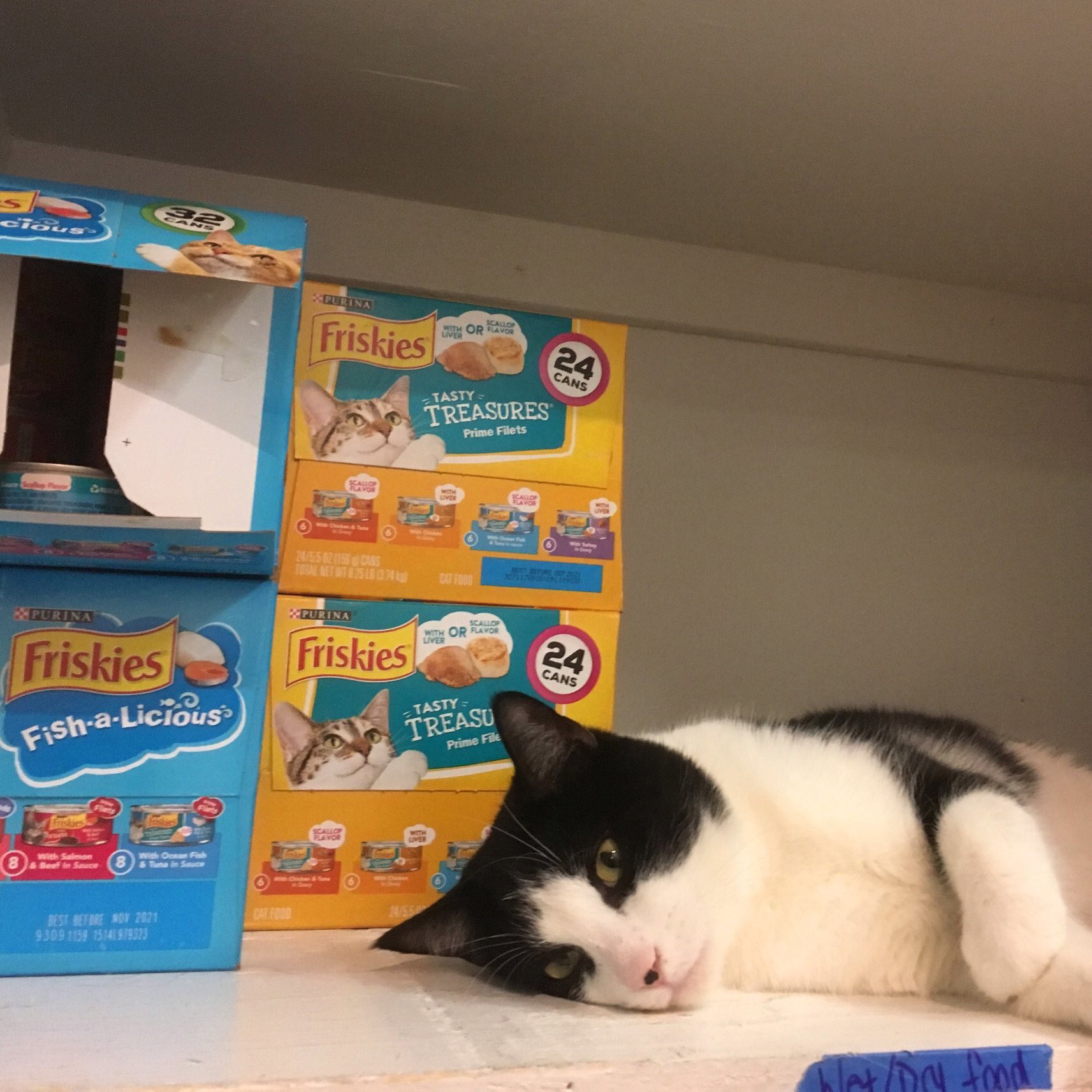 friskies 1159