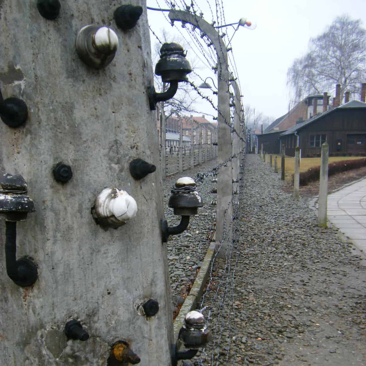 froscampelo's tweet image. Anteayer 27 de Enero se cumplieron 75 años de la liberación de #Auschtwitz - #Birkenau
Honro aniversario global con un #Retrogram de cuando visité #Polonia #Oswiecim 
La sensación de tristeza fria y desolación q encoge al alma humana cuando se visita este lugar es indescriptible