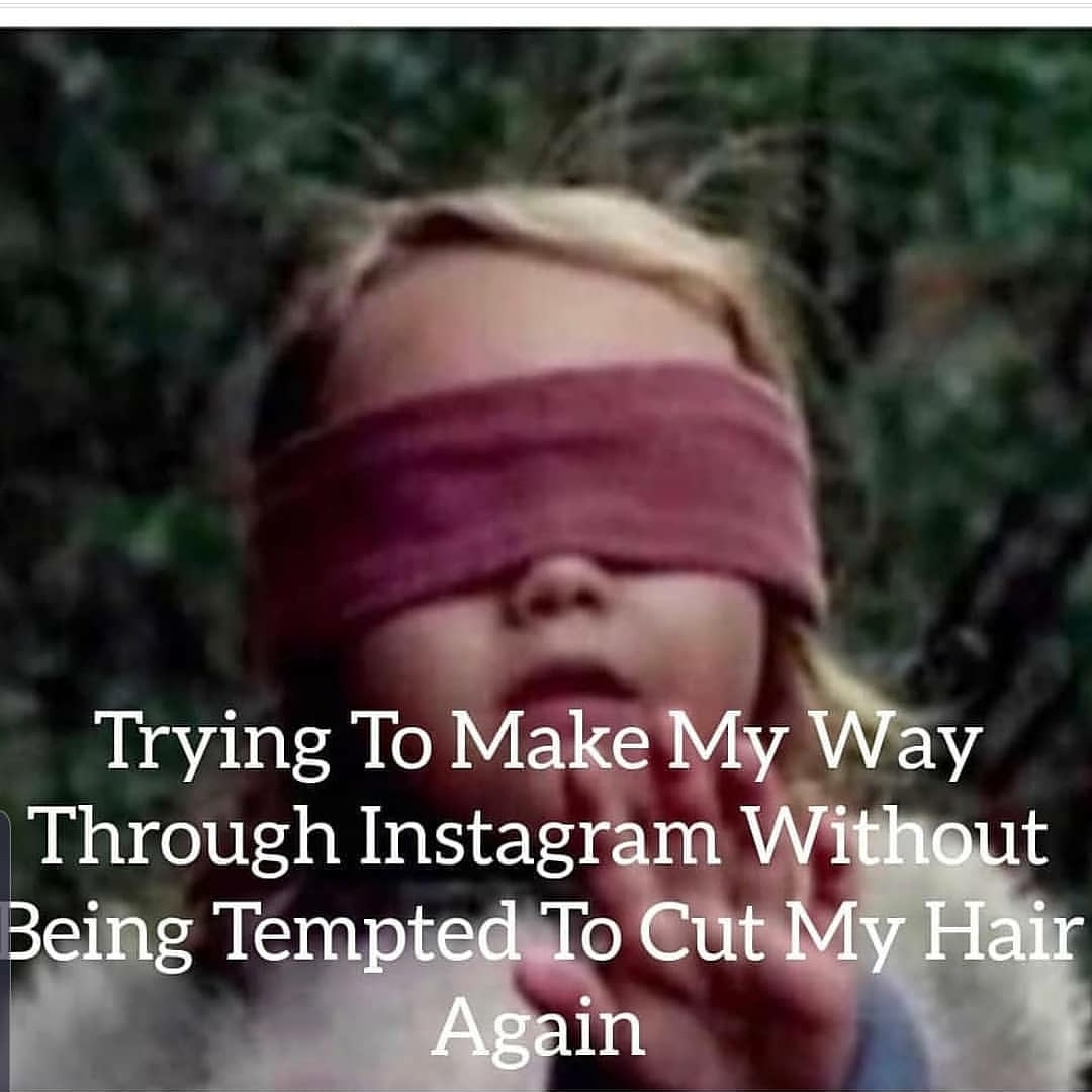 nothingbutpixie's tweet image. 