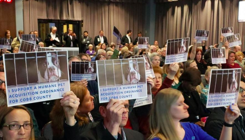 bestfriends's tweet photo. Cobb County #Georgia animal advocates came out strong last night, to speak up against pet sales at stores and #puppymills: https://t.co/2se4FY1fdD. #EndPuppyMills #Adopt ^ND https://t.co/xGNoVxfHyC