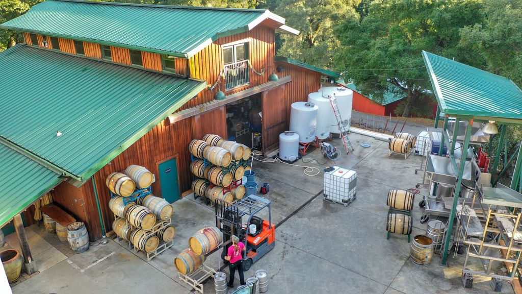 bigbasinwine's tweet photo. Another beautiful day at the #estatewinery with @blakeyarger hard at work! #winemaker #santacruzmountains #scmwine #scmwa #bigbasin #bigbasinvineyards #wine #lovewine https://t.co/zoizwGA53D