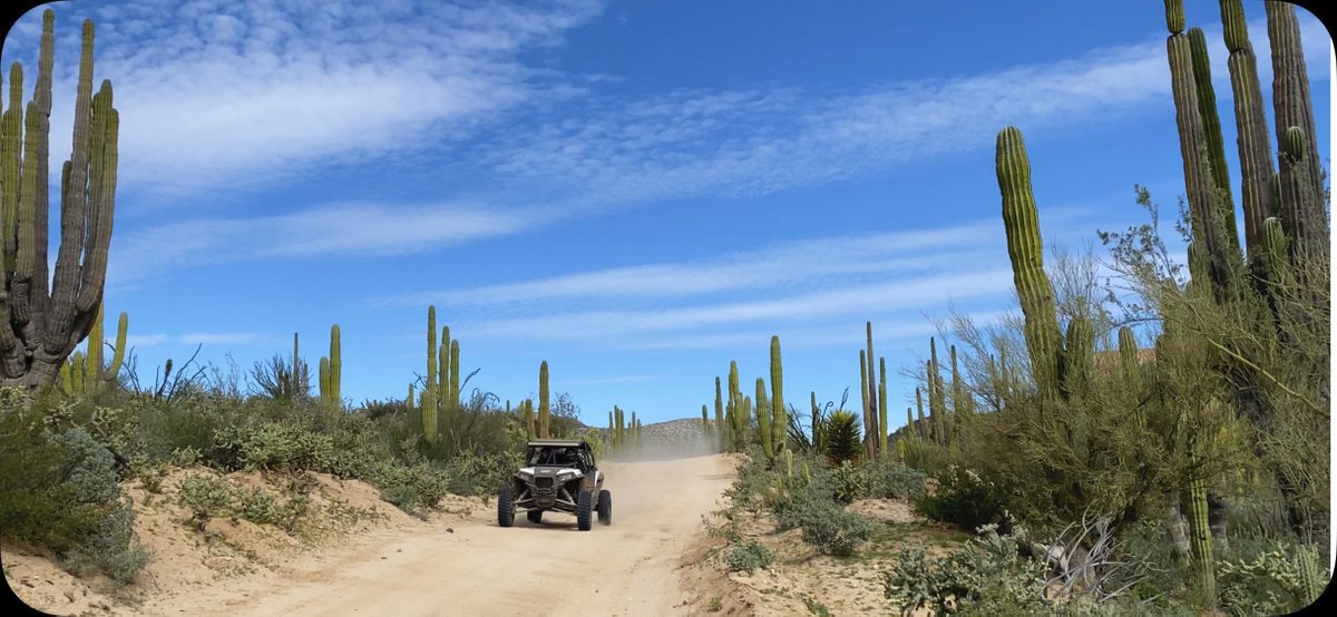 Go Baja Riding Tours tweet media