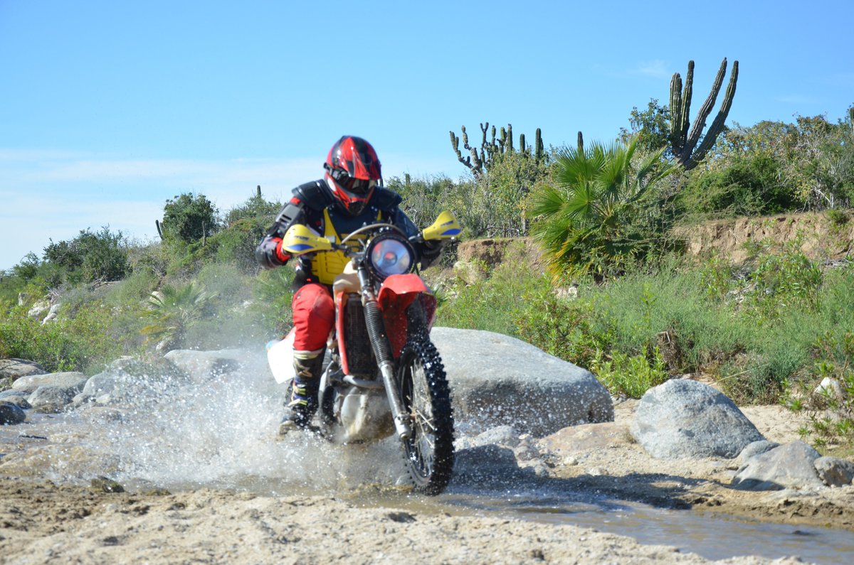Go Baja Riding Tours tweet media