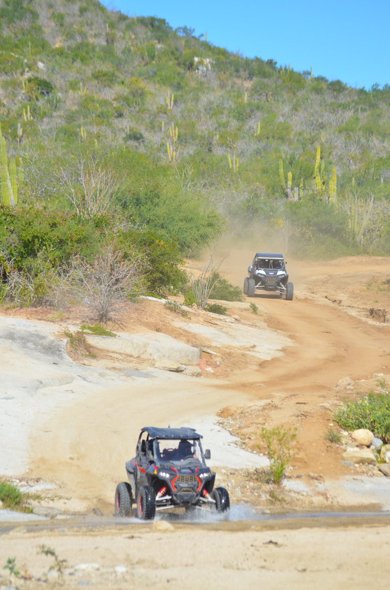 Go Baja Riding Tours tweet media