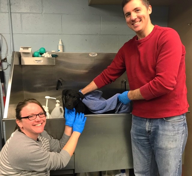 HancockDanielPC's tweet photo. Yesterday our #HDGivesBack Community Service Team volunteered at Richmond Animal Care and Control! There were lots of walks, baths, and treats given...but if we're being honest- it was mostly cuddles. https://t.co/aTmC2h5PYc