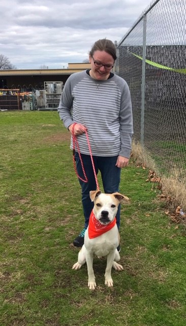HancockDanielPC's tweet photo. Yesterday our #HDGivesBack Community Service Team volunteered at Richmond Animal Care and Control! There were lots of walks, baths, and treats given...but if we're being honest- it was mostly cuddles. https://t.co/aTmC2h5PYc
