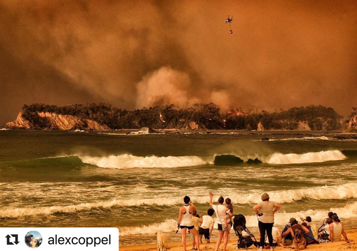 OceanProtectAu's tweet photo. We are still feeling the effects of the current bushfire crisis. It is overwhelming and shattering to see what our home is going through. Our thoughts are with those who have been affected. 

#OceanProtect https://t.co/1Y2roMtN4H