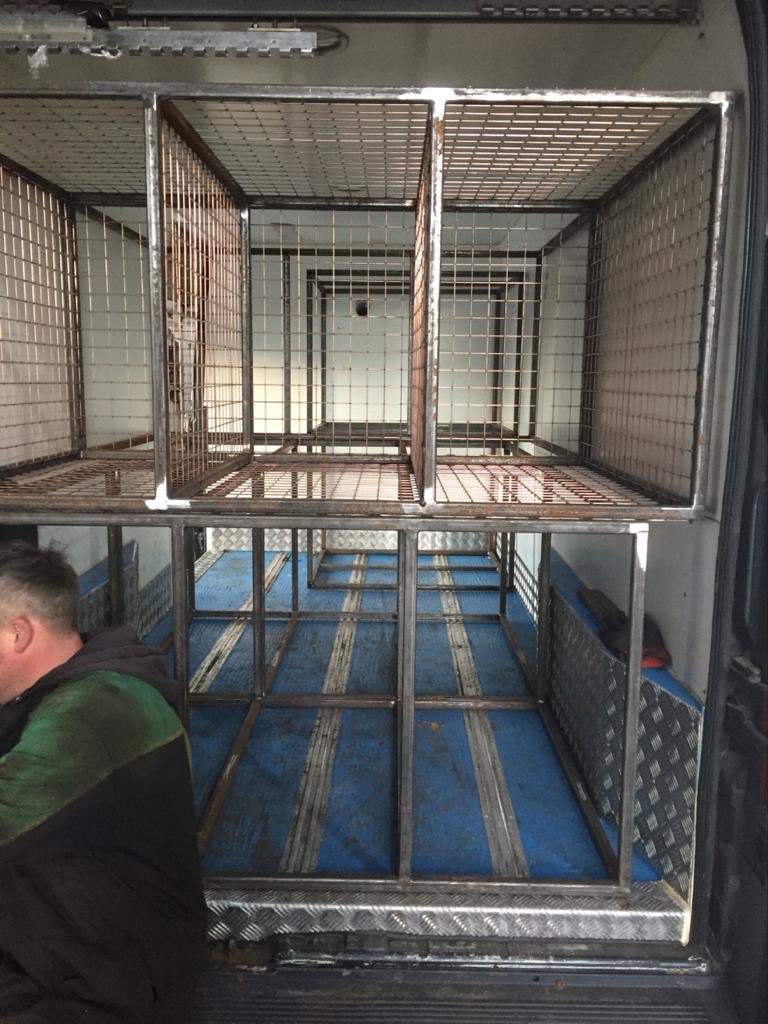 Cages coming along nicely in our new big van 😊