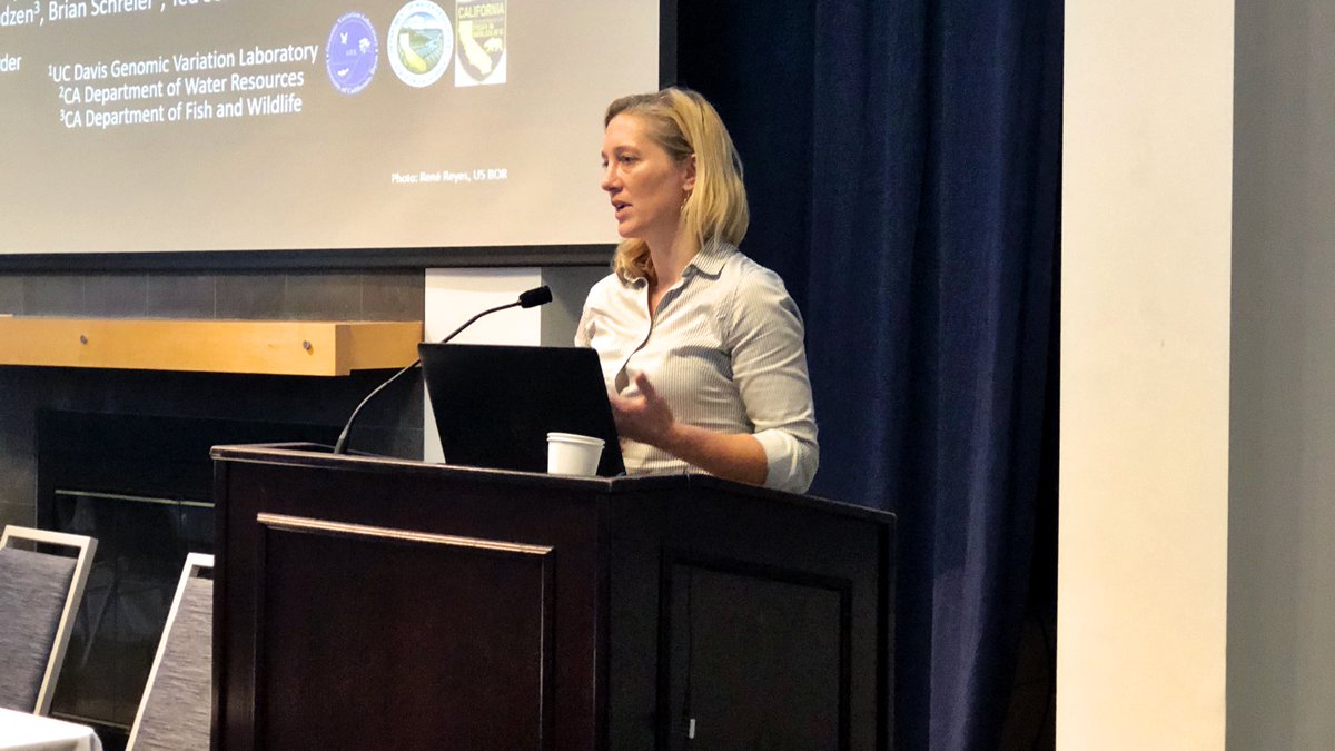 A woman stands at a podium and speaks into a microphone.