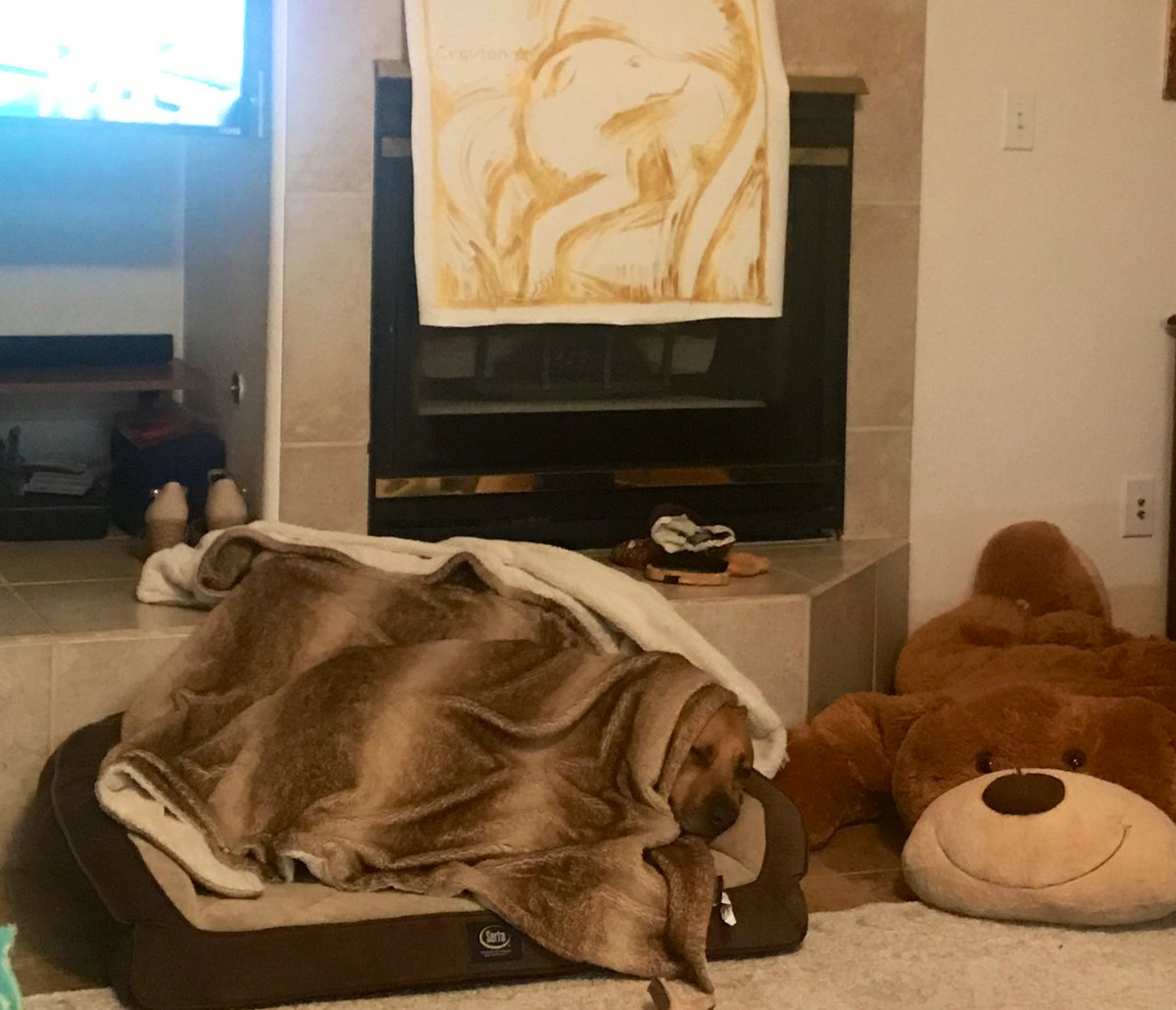 Jamie Kerstetter tweet media