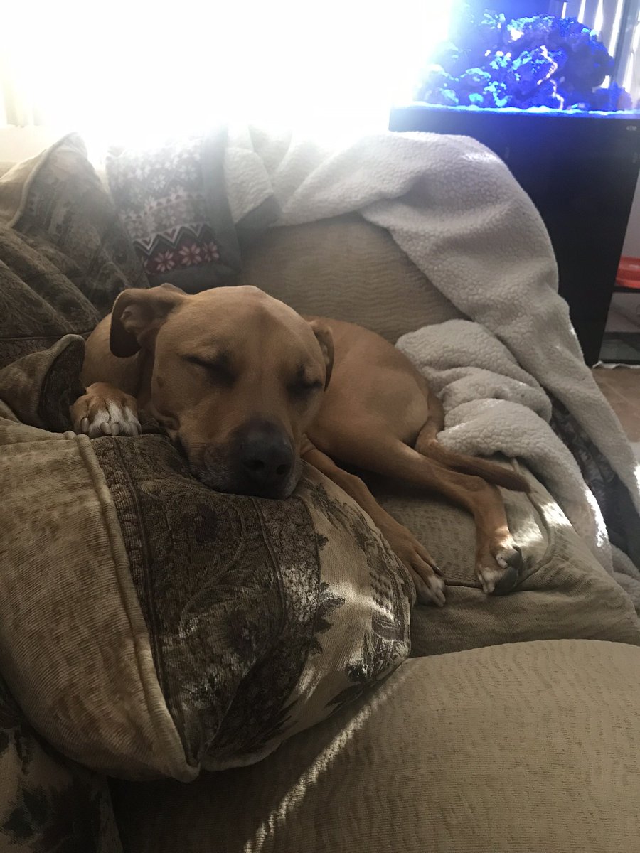 Jamie Kerstetter tweet media