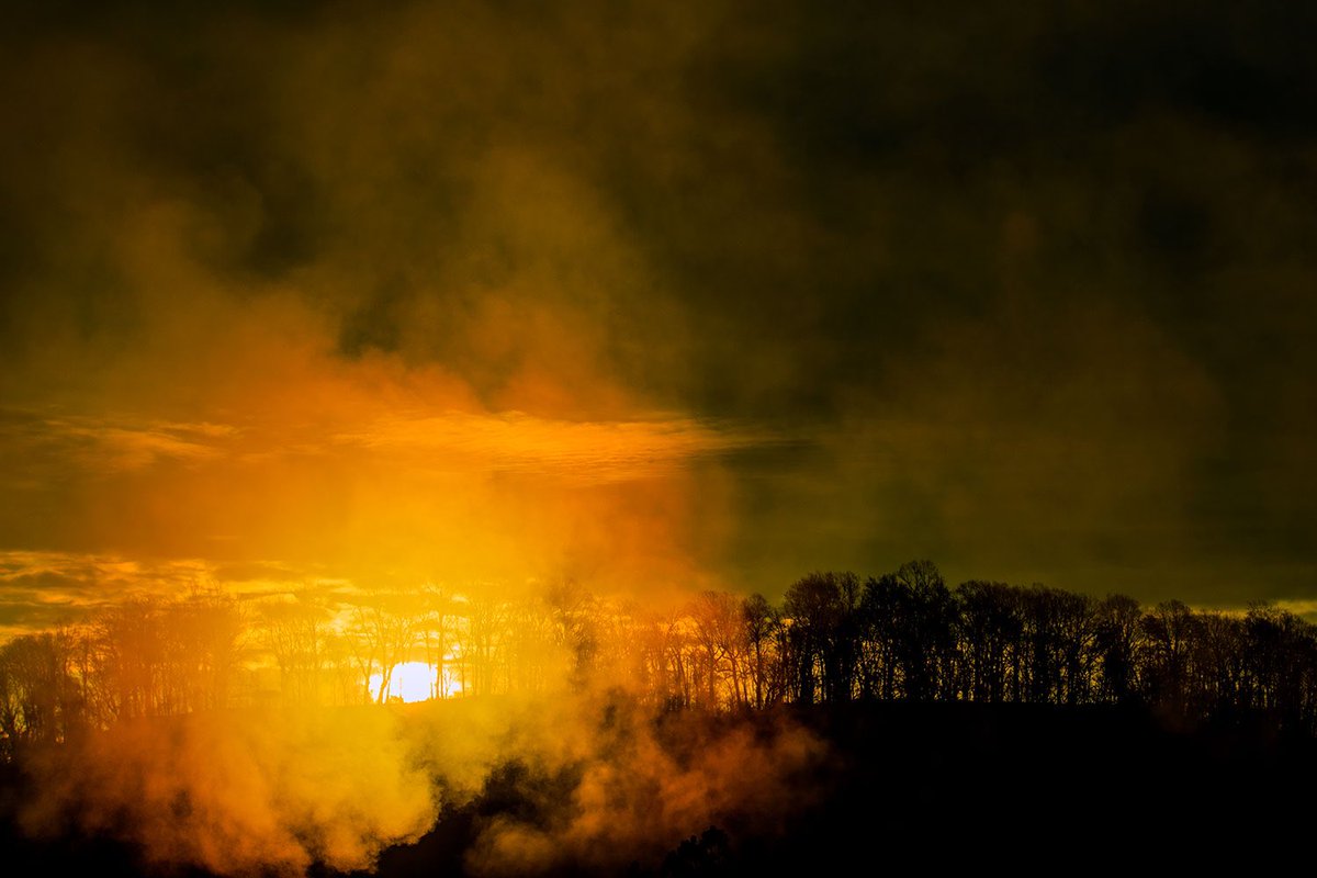 The sunrise lights up the fog on a chilly January morning.