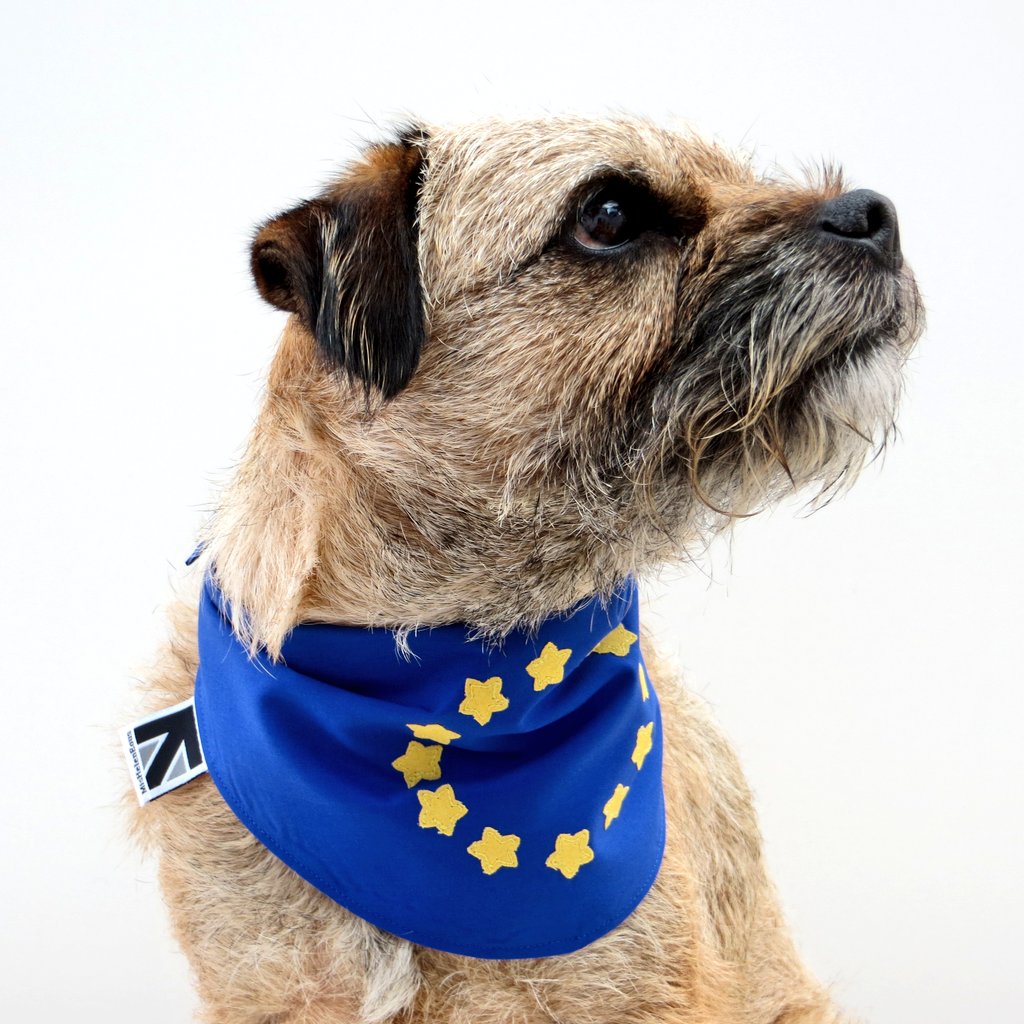 misheleneous's tweet photo. https://t.co/5rGVbRzDph?
The #31stjan2020 is a day we definitely wont be celebrating 😔 But to all our #european Friends & Customers this isnt Goodbye, its Au Revoir 🇪🇺
#handmadehour #EuropeanUnion #dogsagainstbrexit #BrexitDay #leavealighton https://t.co/4Ie9Dt3Nfr