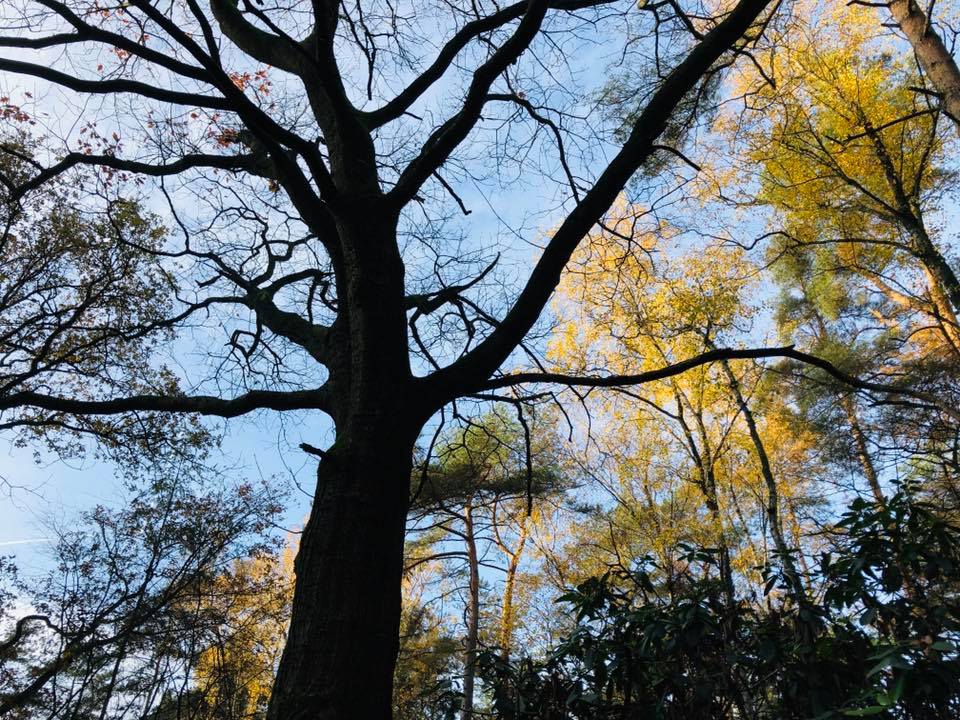 way_nature's tweet photo. Nieuw begin - https://t.co/GERnRnwRoo https://t.co/3XIA1IKk7p