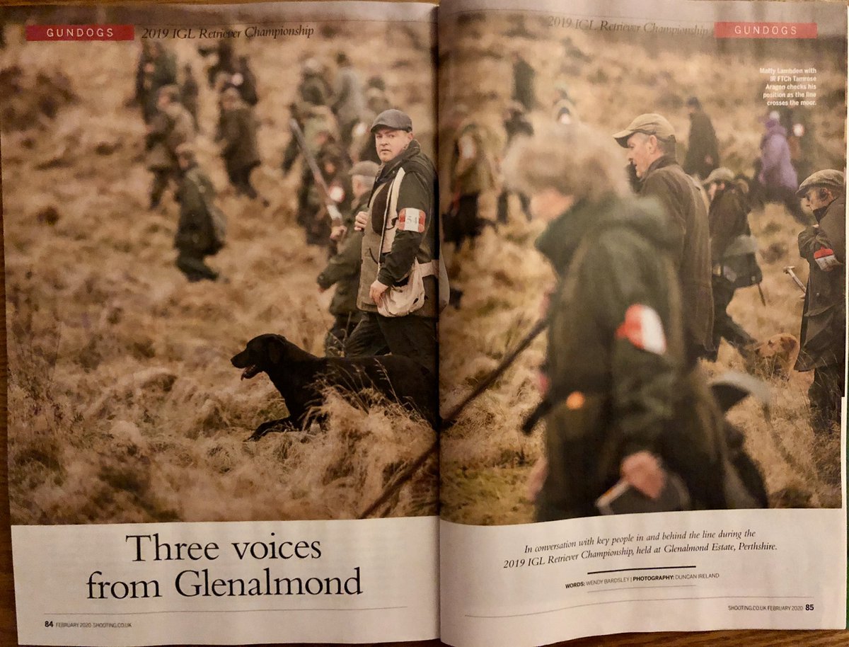 What a joy to see the @ShootingGazette has devoted TEN pages to the IGL Retriever Championship. Fantastic coverage and I'm sure you agree, amazing photography! tinyurl.com/vszm38x #gundogs #fieldsports #printjournalism